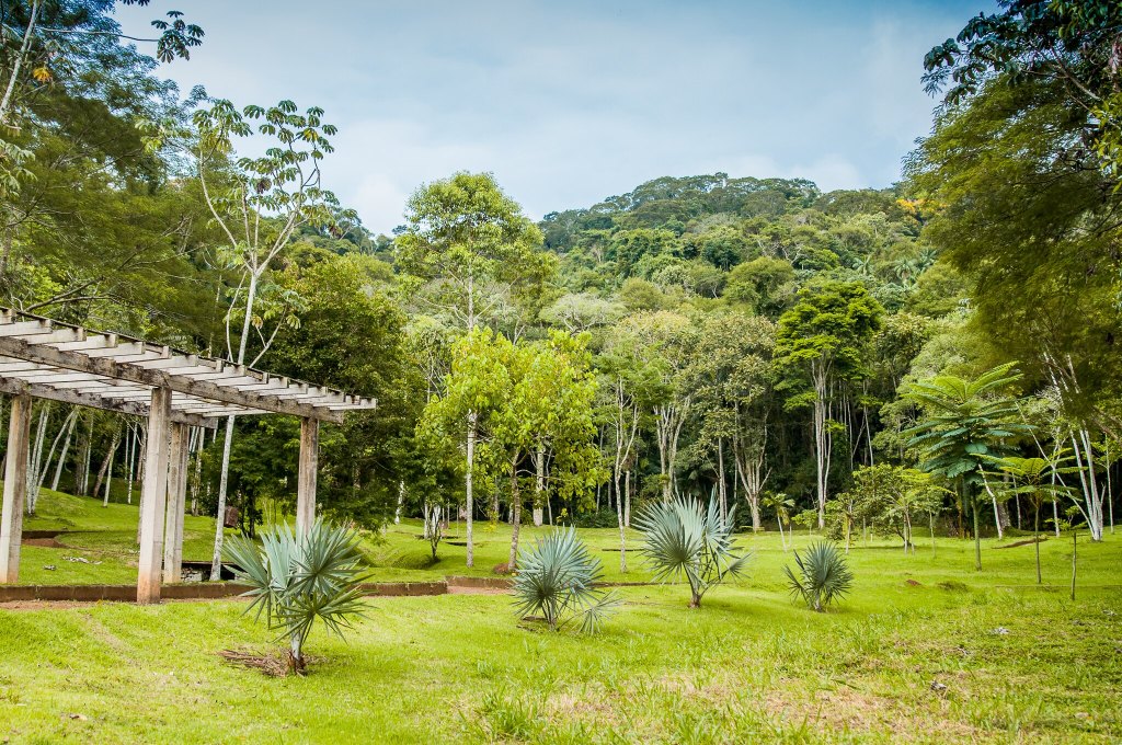 Jardim Botanico UFJF
